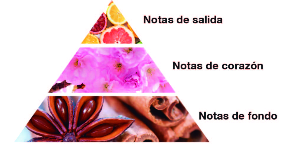 piramide ESP